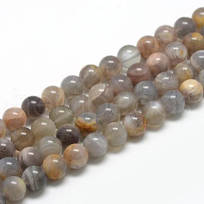 Natural Black Sunstone Beads Strands G-R446-8mm-33-1