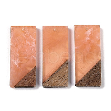 Resin & Wood Pendants WOOD-F015-09H-1