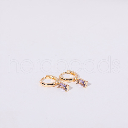 Brass Micro Pave Cubic Zirconia Hoop Earrings WGF8540-06-1