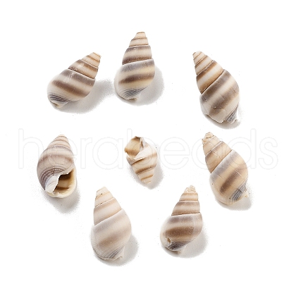 Natural Spiral Shell Beads BSHE-G038-06B-1