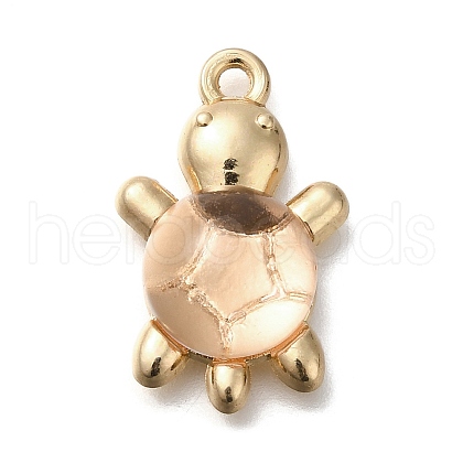 Acrylic Alloy Pendants FIND-M041-03E-1