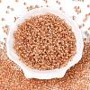 6/0 Transparent Inside Colours Glass Seed Round Beads X1-SEED-N006-004I-2