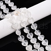 Natural Quartz Crystal Beads Strands G-P570-E21-01-1