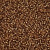 Goldenrod Round 11/0 Grade A Transparent Glass Seed Beads X-SEED-Q007-F31-2