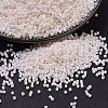 MIYUKI Delica Beads X-SEED-J020-DB1490-1