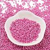Baking Paint Glass Seed Beads SEED-S042-15B-27-2