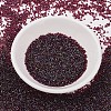 MIYUKI Delica Beads SEED-J020-DB1751-2
