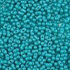 Baking Paint Glass Seed Beads SEED-L011-09A-07-3