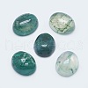 Natural Moss Agate Cabochons G-G759-Z12-1