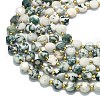 Natural Tree Agate Beads Strands G-C116-A32-02-3