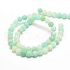 Natural Amazonite Bead Strands G-G684-03-10mm-2