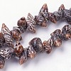 Natural Spiral Shell Beads Strands X-BSHE-L036-31-1