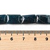 Natural Apatite Beads Strands G-Q026-B01-01-5