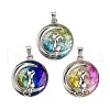 Glass Pendants FIND-A043-13P-1
