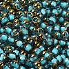 Glass Seed Beads SEED-H002-B-D223-3