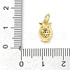 Brass Micro Pave Cubic Zirconia Charms KK-G526-07G-3