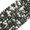 Natural Australia Zebra Jasper Beads Strands G-P573-A51-01-2