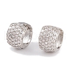 Rack Plating Brass Cubic Zirconia Earrings EJEW-S219-12P-02-1