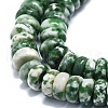 Natural Green Spot Jasper Beads Strands G-K245-B15-02-3