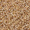 MIYUKI Round Rocailles Beads SEED-X0054-RR1004-2