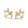 Brass Clear Cubic Zirconia Pendants KK-E068-VA070-2-1