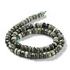 Natural Silver Line Jasper Beads Strands G-Z042-B01-03-3