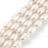 Natural Cultured Freshwater Pearl Beads Strands PEAR-P062-06E-2
