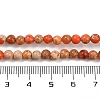 Dyed Natural Regalite/Imperial Jasper/Sea Sediment Jasper Beads Strands G-B124-C04-15-4