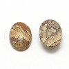 Natural Picture Jasper Cabochons X-G-R415-13x18-42-2