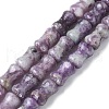 Natural Quartz Beads Strands G-M445-B02-01-2
