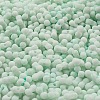 Macaron Color Opaque Frosted Glass Seed Beads X1-SEED-K009-12B-07-3