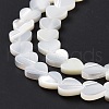 Natural Trochus Shell Beads Strands SSHEL-H070-06B-5