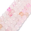 Natural Agate Beads Strands G-G172-02J-2