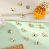 Preciosa® MAXIMA Crystal Fancy Stones X-PRC-FA6-80100-2
