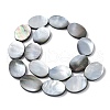 Natural Black Lip Shell Beads Strands BSHE-D300-02-18x25mm-4