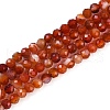 Natural Banded Agate Beads Strands G-P553-G09-02-2