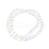 Transparent Electroplate Glass Bead Strands EGLA-P049-02A-AB01-3