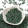 Transparent Inside Colours Glass Seed Beads SEED-H002-A-C221-2