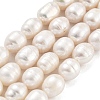 Natural Cultured Freshwater Pearl Beads Strands PEAR-P062-13C-2