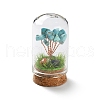 Syntheticl Crackle Turquoise Chips Money Tree in Dome Glass Bell Jars with Wood Base Display Decorations DJEW-K030-02G-1