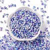 Baking Paint Glass Seed Beads SEED-C003-01D-2