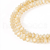  1 Strand Natural Trochus Shell Rondelle Beads Strands SSHEL-TA0001-16B-2