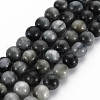 Natural Hawk's Eye Beads Strands G-S333-8mm-034-1