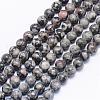 Natural Petrified Wood Bead Strands G-F425-44-1