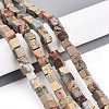 Natural Aqua Terra Jasper Beads Strands G-T140-43A-1