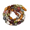 Natural Alashan Agate Beads Strands G-Q060-D19-02-3