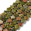 Natural Unakite Beads Strands G-B138-C07-01-2