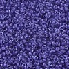 MIYUKI Round Rocailles Beads X-SEED-G007-RR1930-3