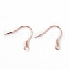 925 Sterling Silver Earring Hooks STER-D035-22RG-1