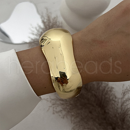 Alloy Hinged Bangles for Women FS-WGCBF0C-01-1